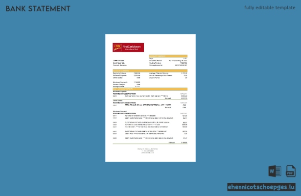 Beispiel-Excel-Vorschau eines Kontoauszugs der FirstCaribbean International Bank (Bahamas)